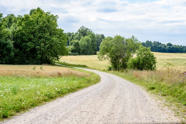 Stone Driveway Repair in Nokomis