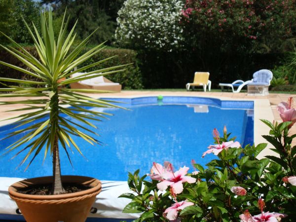 Cost of Pool Terrace Renovation in Nokomis