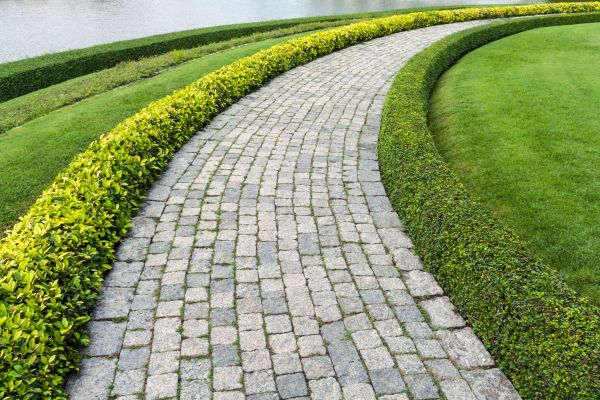 Cost of Sidewalk Pavers Installation in Nokomis