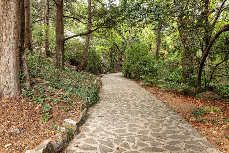 Natural Stone Paver Walkway